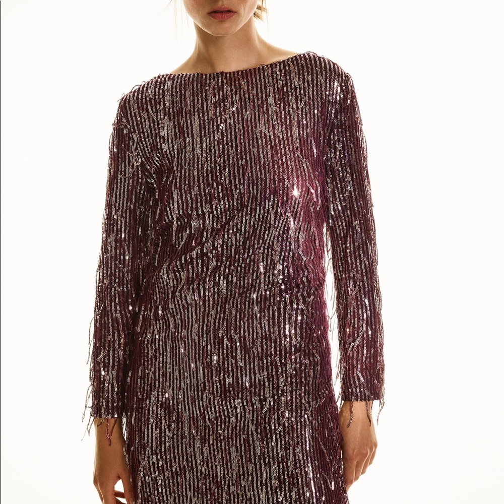 New Zara Fringe Burgundy Sequin Fringe Mini Dress - Picture 3 of 8